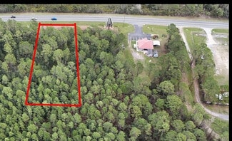Plus de détails pour 12320 E Highway 40, Silver Springs, FL - Terrain à vendre
