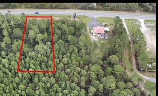 Plus de détails pour 12260 E Highway 40, Silver Springs, FL - Terrain à vendre