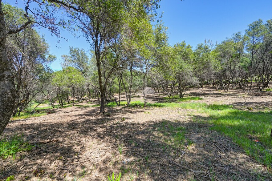 10650 Werner Rd, Auburn, CA à vendre - Photo principale – Image 1 sur 21