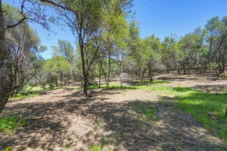 Plus de détails pour 10650 Werner Rd, Auburn, CA - Terrain à vendre