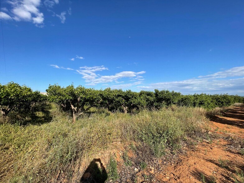 Terrain dans Benimodo, Valencia à vendre - Photo principale – Image 2 sur 5