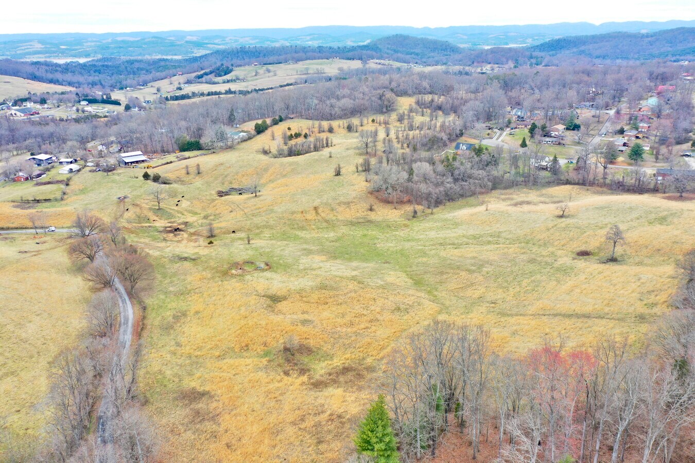 View Photo