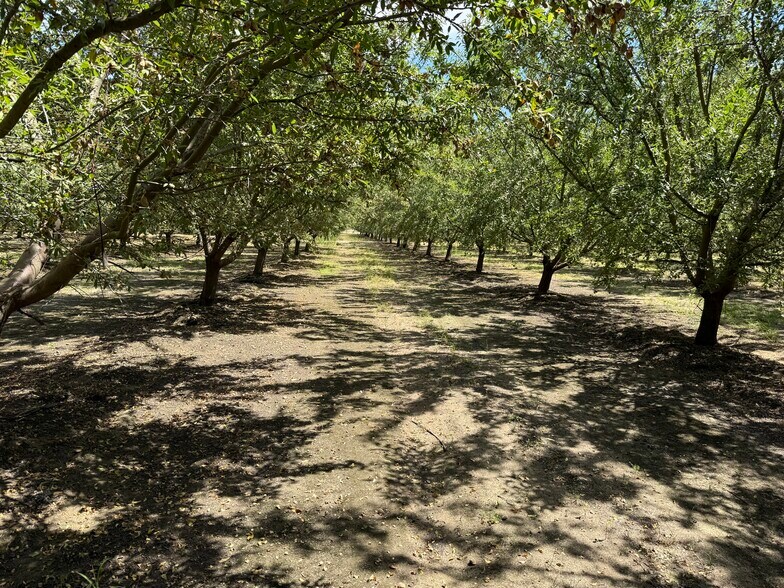 Yosemite Boulevard, Modesto, CA à vendre - Autre – Image 3 sur 8