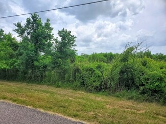Plus de détails pour 7.7 acres Laigle Road CR 85, Manvel, TX - Terrain à vendre