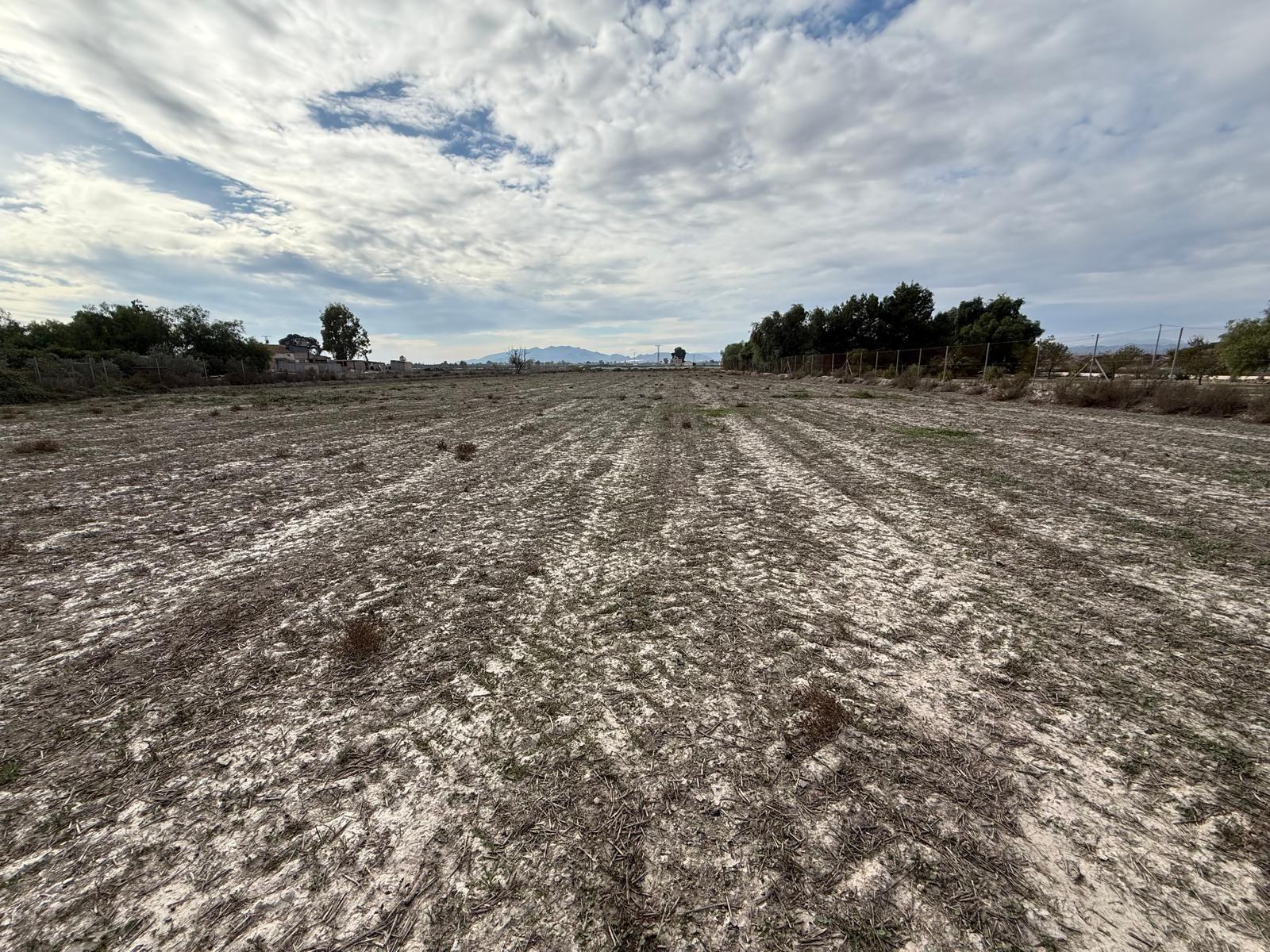 Terrain dans Lorca à vendre Plan de site– Image 1 sur 5
