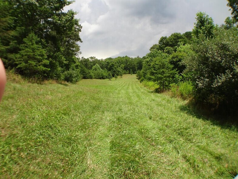 Lot 20 Porter Creek Rd, Franklin, NC à vendre - Photo de l’immeuble – Image 3 sur 4