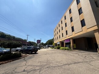 Plus de détails pour 305 Mt Lebanon Blvd, Pittsburgh, PA - Bureau à louer