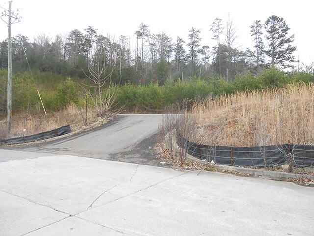 Yukon Rd, East Ellijay, GA à vendre - Autre – Image 2 sur 3