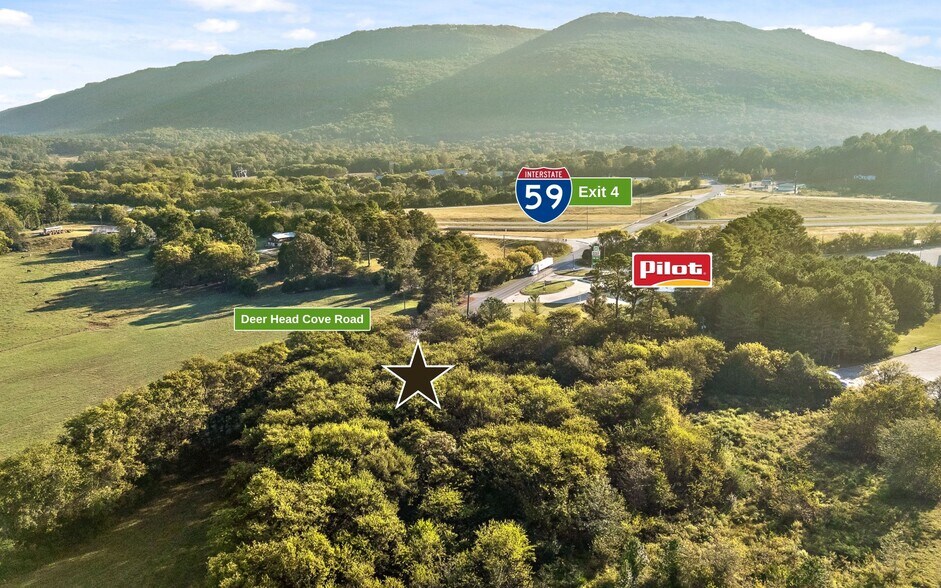 0 Deer Head Cove Road, Rising Fawn, GA à vendre - Aérien – Image 3 sur 17