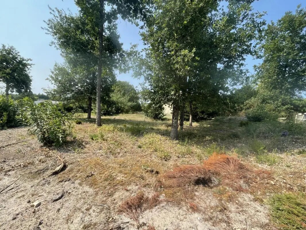 Terrain dans Cérans-Foulletourte à vendre Photo de l’immeuble– Image 1 sur 2