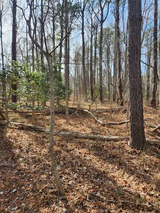 Plus de détails pour Lot 69 Plantation, Montross, VA - Terrain à vendre
