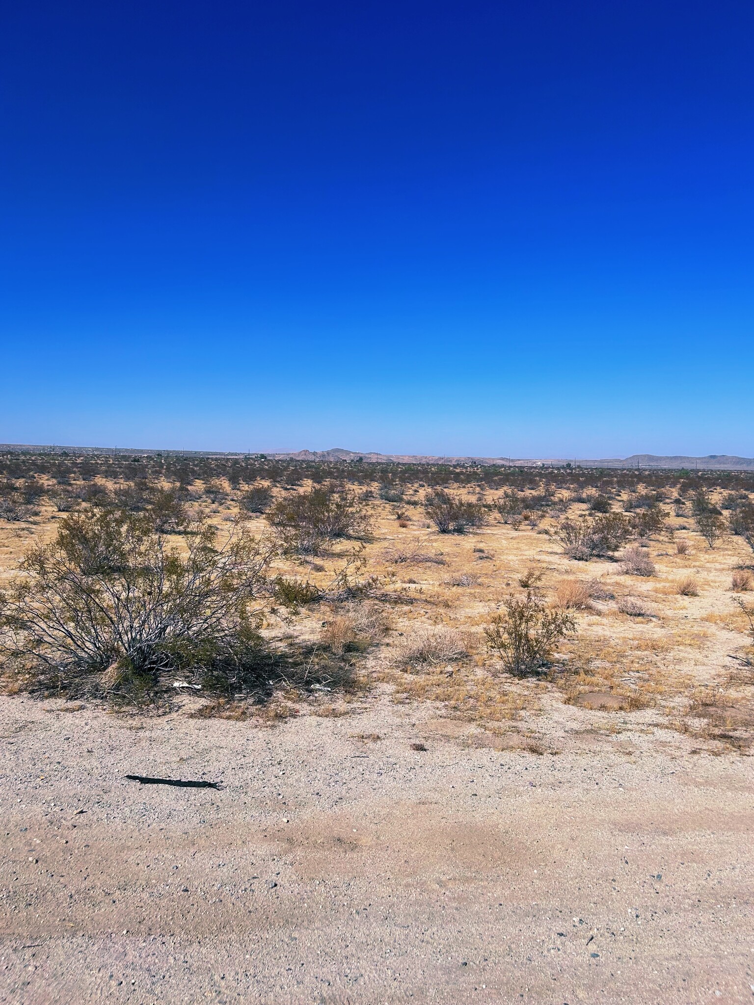 0 29 Palms Highway, Joshua Tree, CA à vendre Autre– Image 1 sur 7