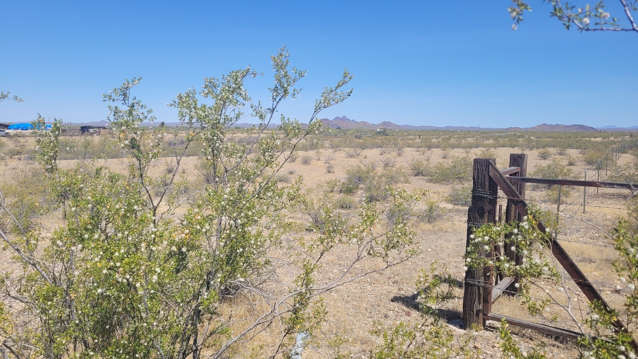 300XX W Radford Rd, Wittmann, AZ à vendre Photo principale– Image 1 sur 16