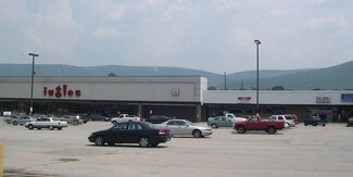 Plus de détails pour 12060-12078 S Main St, Trenton, GA - Local commercial à louer