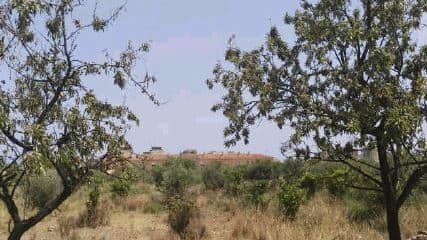 Carrer Carles Salvador, BENICÀSSIM, Castellón à vendre - Photo de l’immeuble – Image 3 sur 3