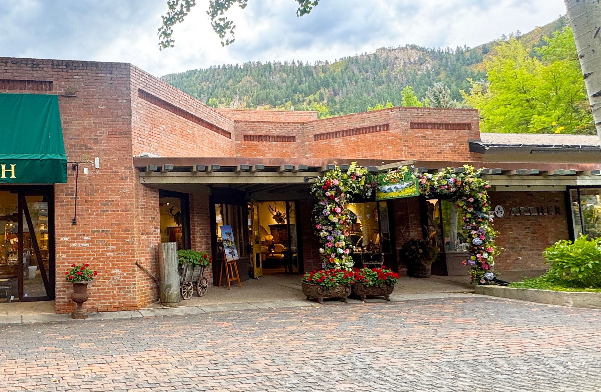 419 E Cooper Ave, Aspen, CO à louer Photo principale– Image 1 sur 7