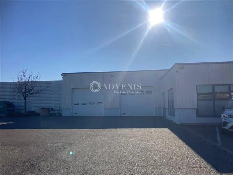 Local d’activités dans Sélestat à louer Photo principale– Image 1 sur 13