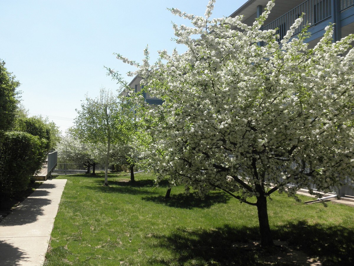 View Photo