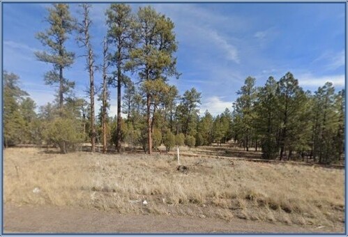 4900 Arizona 260, Lakeside, AZ à vendre - Photo principale – Image 1 sur 12