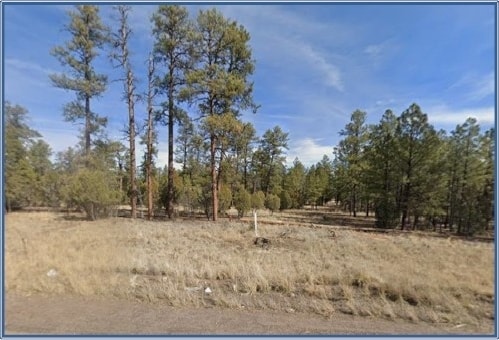 4900 Arizona 260, Lakeside, AZ à vendre Photo principale– Image 1 sur 13