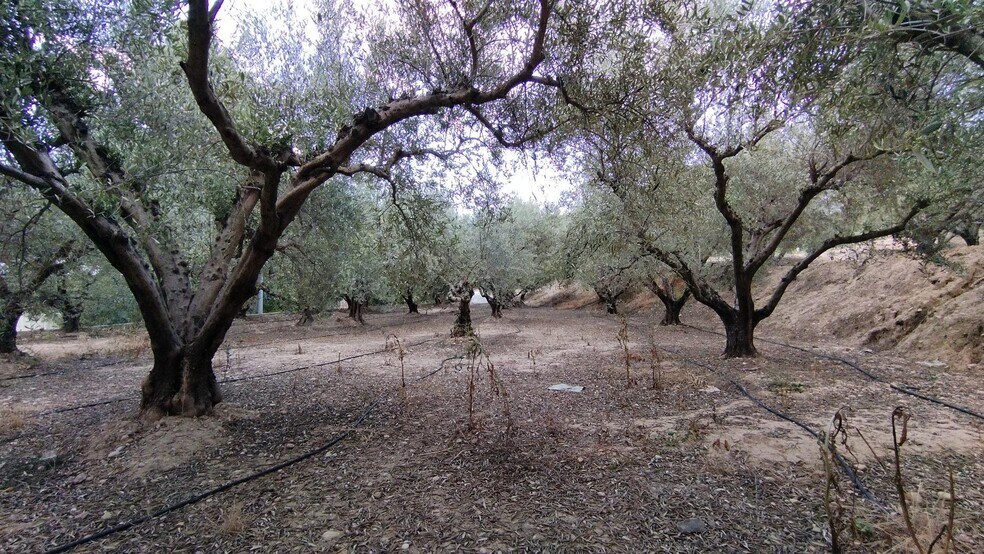 Terrain dans Calasparra à vendre - Photo de l’immeuble – Image 3 sur 16
