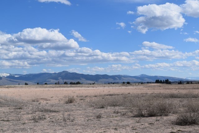 View Photo