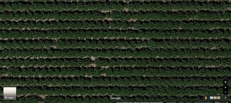 Plus de détails pour 12486 Road 19, Madera, CA - Terrain à vendre