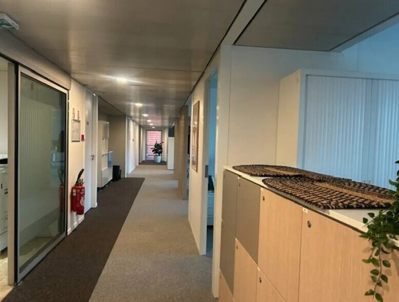 Bureau dans Lyon à louer - Photo intérieure – Image 3 sur 9