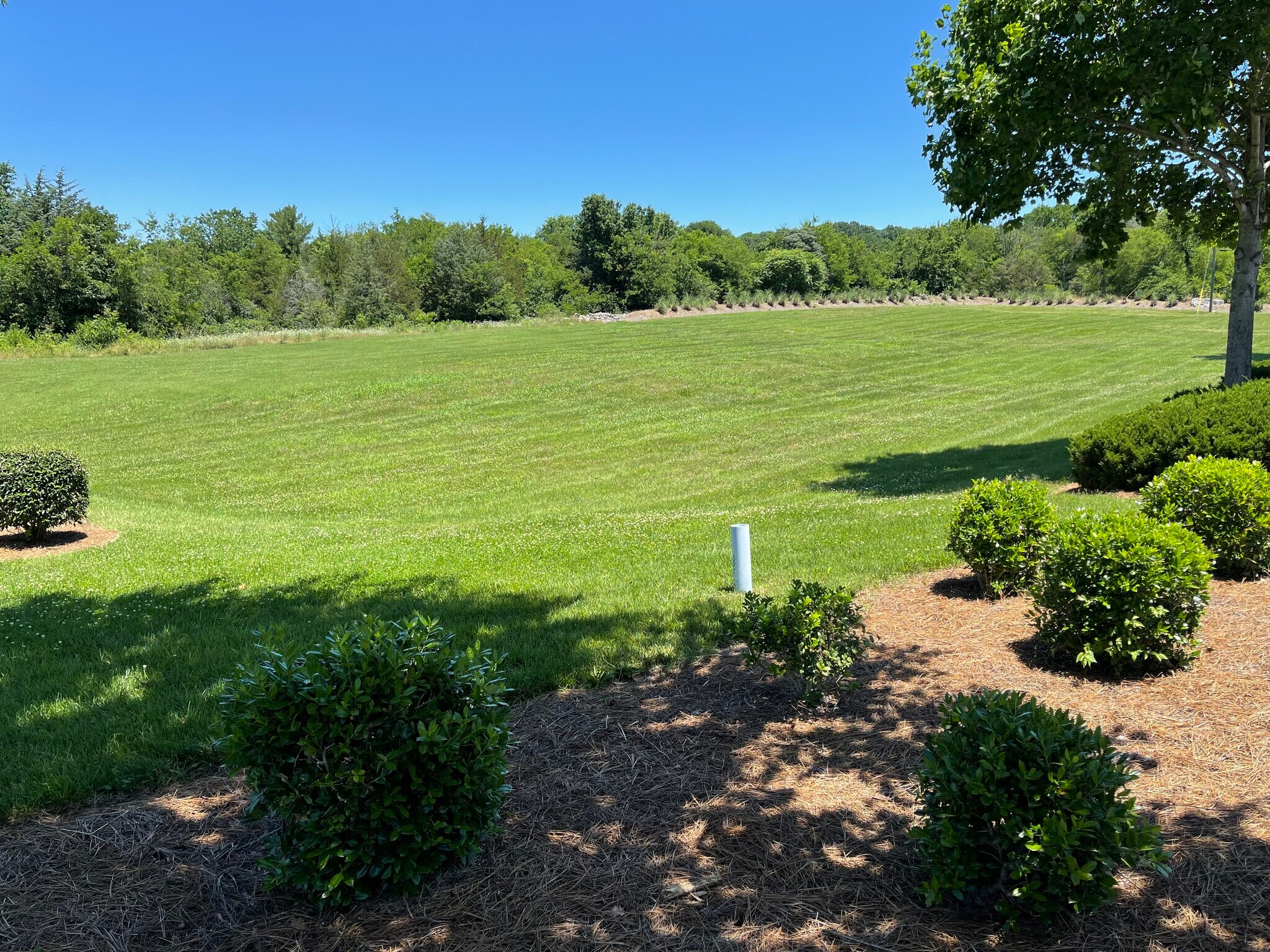 2030 Johnson Ind Blvd, Nolensville, TN à vendre Photo de la construction– Image 1 sur 4