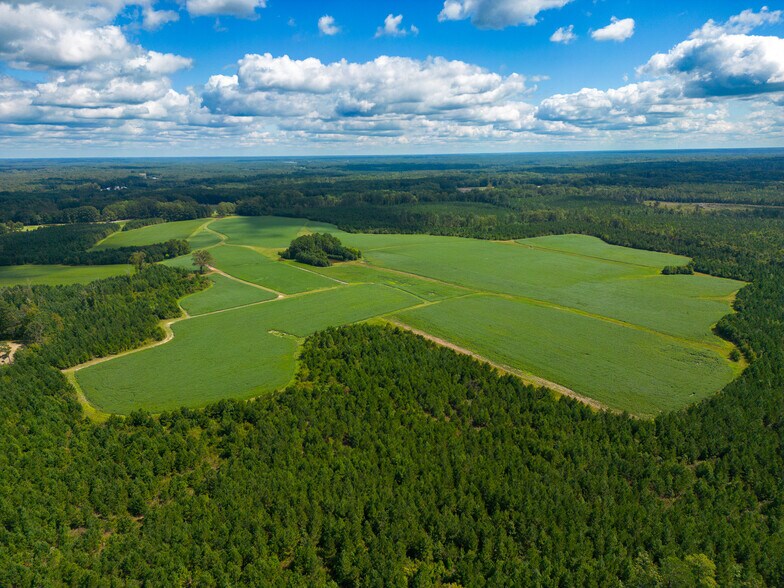 880 Tant Rd, Zebulon, NC à vendre - Photo de l’immeuble – Image 2 sur 4
