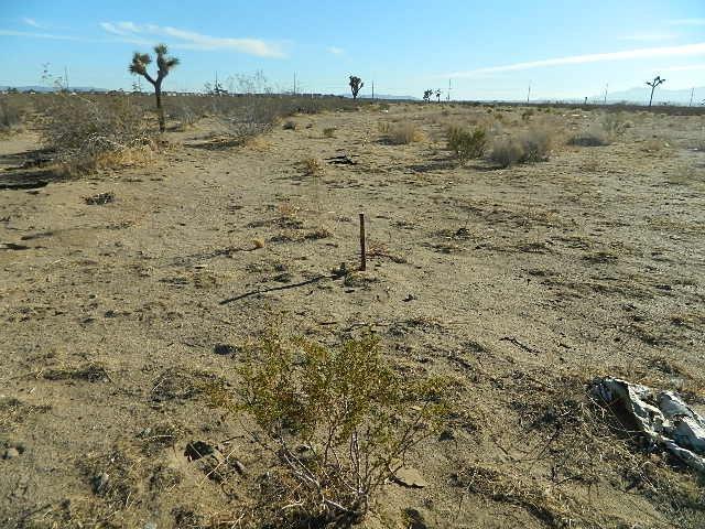 Palmdale Road -1, Adelanto, CA à vendre - Photo de l’immeuble – Image 2 sur 5