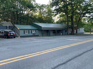 Plus de détails pour 905 Route 390, Greentown, PA - Local commercial à vendre