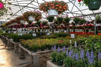 Plus de détails pour 8627 Cleveland Ave, Baroda, MI - Spécialisé à vendre