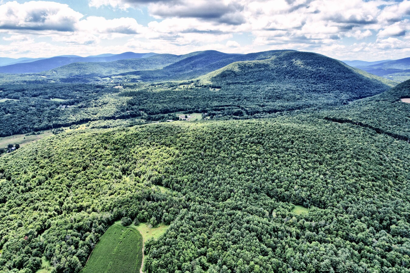 View Photo