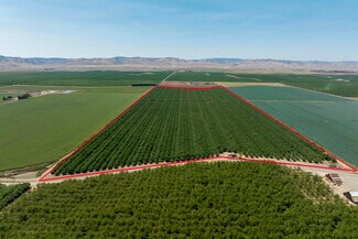 Plus de détails pour Draper Rd, Newman, CA - Terrain à vendre