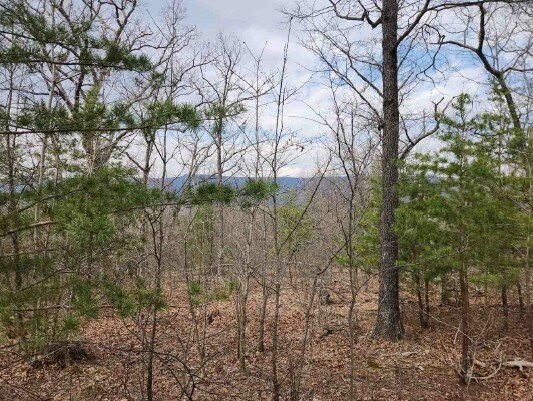 0 Vintage Ln, Winchester, VA à vendre Aérien– Image 1 sur 2