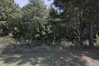 Plus de détails pour 0 Greenwood Industrial Pky, Mcdonough, GA - Industriel/Logistique à louer