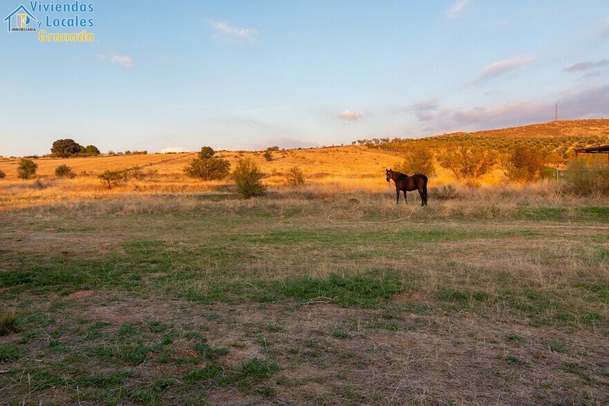 Camino la Zapatera, Gójar, Granada à vendre - Photo de l’immeuble – Image 3 sur 15