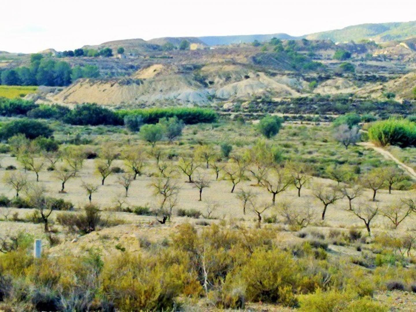 Terrain dans Murcia, Murcia à vendre Aérien– Image 1 sur 9