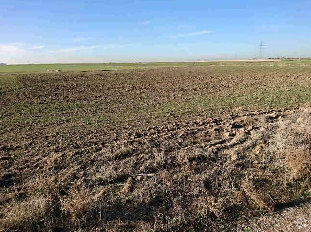 Terrain dans Cubas de la Sagra, Madrid à vendre - Photo de l’immeuble – Image 2 sur 5