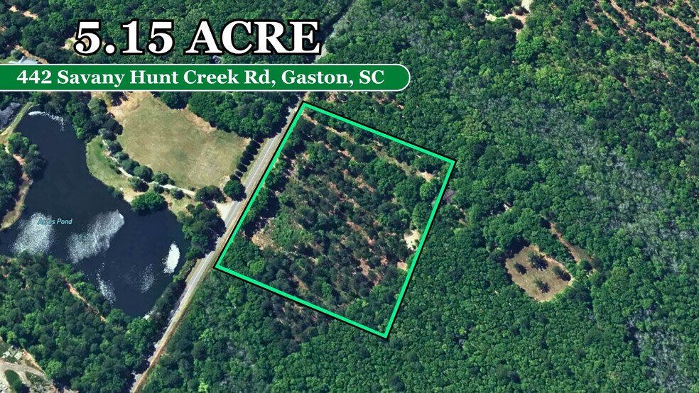 Savany Hunt Creek Rd, Gaston, SC à vendre - Photo principale – Image 1 sur 17