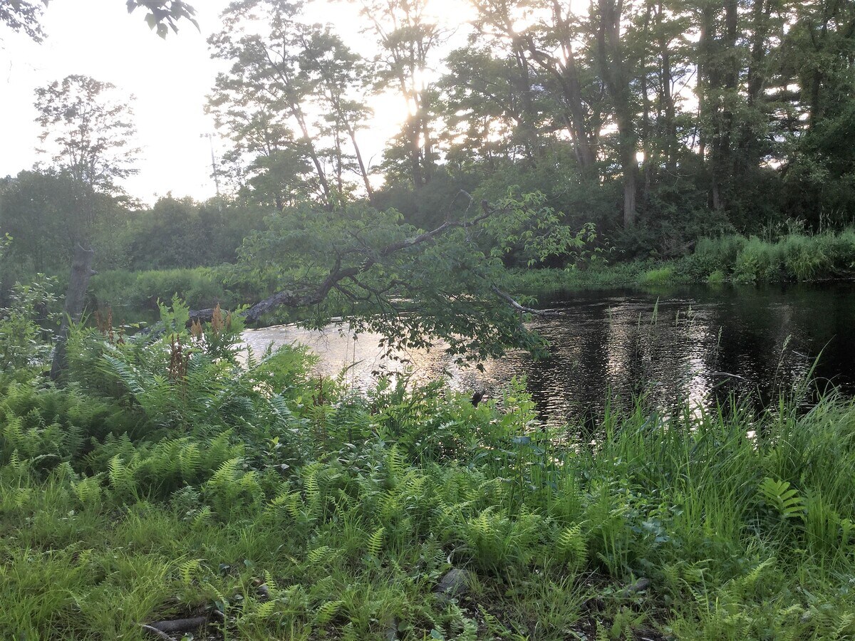 View Photo