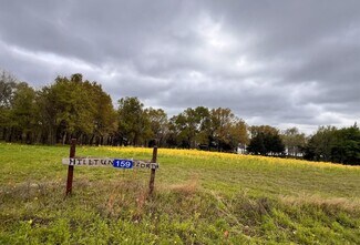 Plus de détails pour 159 County Road 890, Jewett, TX - Terrain à vendre