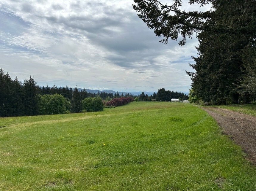 View Photo