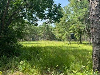 Plus de détails pour 0 Nokomis Road, Walnut Hill, FL - Terrain à vendre