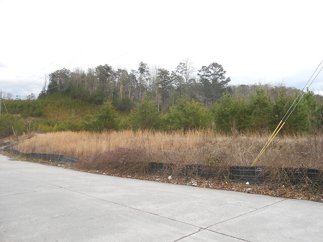 Yukon Rd, East Ellijay, GA à vendre - Autre – Image 3 sur 3