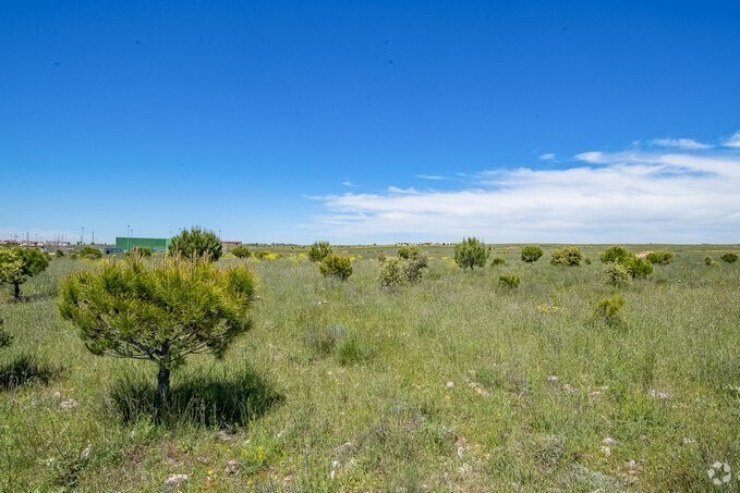 View Photo