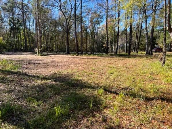 169 Hutchinson Rd, Jacksonville, FL à vendre - Photo de l’immeuble – Image 3 sur 3