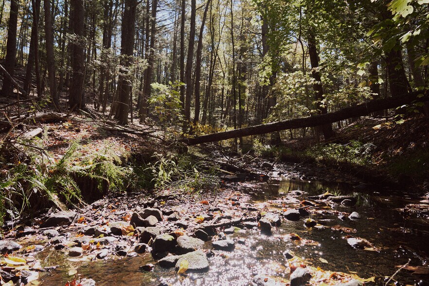 1296 Flatbush Rd, Kingston, NY à vendre - Photo de l’immeuble – Image 2 sur 12