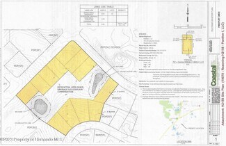 Plus de détails pour 0 Freeport Drive, Spring Hill, FL - Terrain à vendre